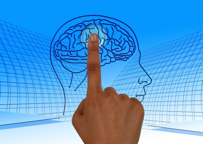 cerebro