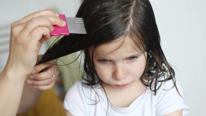 Dream about head lice