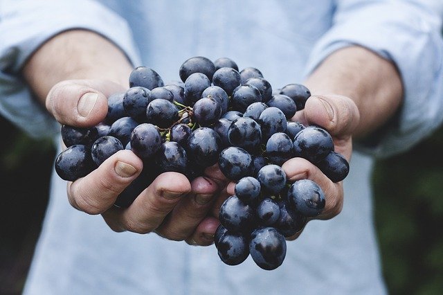 Los beneficios de las uvas
